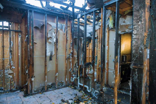 Professional Fire Damage Removal technician working in Adamstown, MD